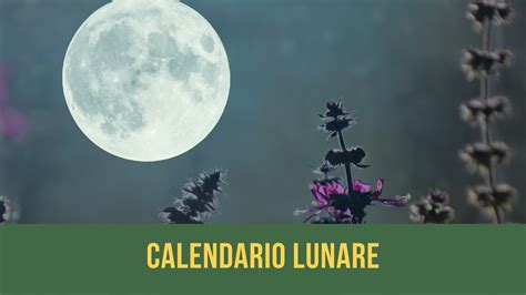 Calendario Lunare Orto Novembre Guida Completa Alle Fasi Lunari