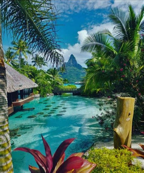 Beauty Of Bora Bora Beautiful Places To Visit Dream Travel