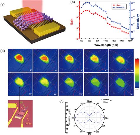 Room Temperature Infrared Photodetectors With Hybrid Structure Based On