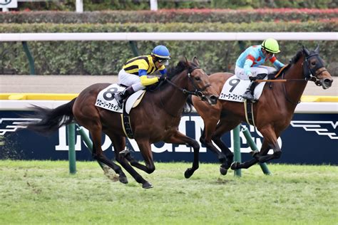 【新馬東京6r】ヴィクトワールピサ産駒 グローリーアテインがデビューv 競馬ニュースなら競馬のおはなし