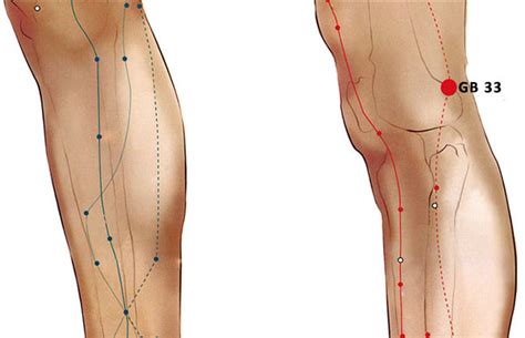 Pressure Points In Knee Acupressure Points For Knee Pain Relief