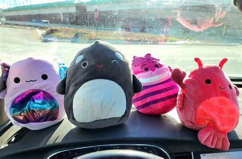 Had My Eye on Kai Forever : r/squishmallow