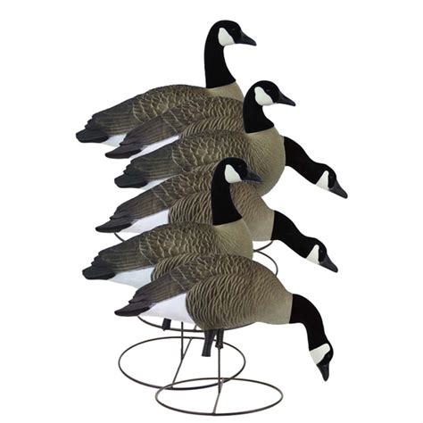 Prairiewind Decoys FREE SHIPPING Full Size Full Body CANADA Goose