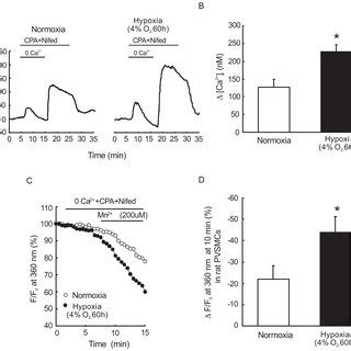 Effects Of Chronic Hypoxia On Right Heart And Pulmonary Artery