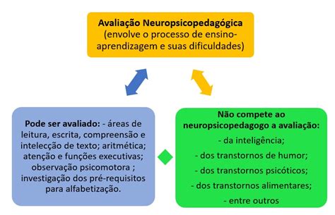 Neuroci Ncias Em Benef Cio Da Educa O Considera Es Sobre O Livro