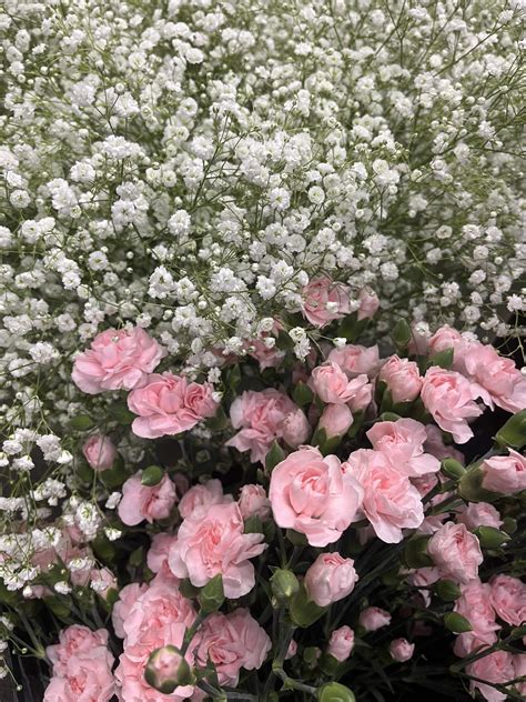 Eaton Floral LLC | Eaton OH