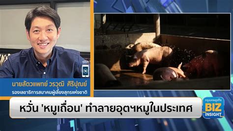 หวั่น ‘หมูเถื่อน ทำลายอุตฯหมูในประเทศ Video Dailymotion