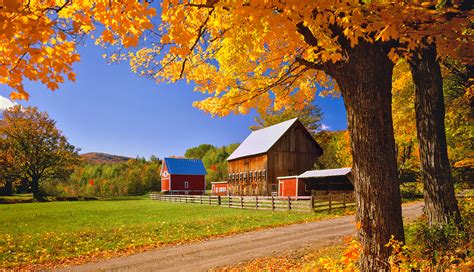 Pronostican deslumbrantes paisajes de otoño