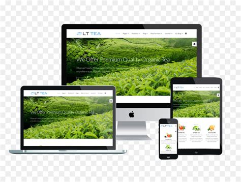 Responsive Web Design Desenvolvimento De Website Wordpress Png