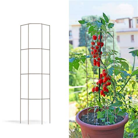 Treillis pour Plantes Grimpantes 176 cm Cage à tomates Tuteur Plantes