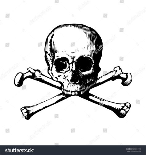 2525 Skull And Crossbones Template 이미지 스톡 사진 및 벡터 Shutterstock