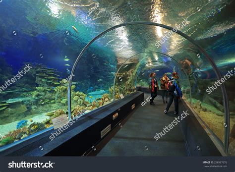 49833 Marine World Aquarium Images Stock Photos And Vectors Shutterstock