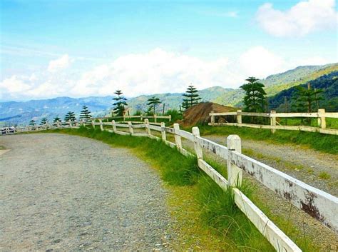 Desa Cattle Dairy Farm Kundasang