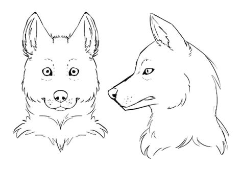 Realistic Canine Fursona Head Reference Sheet Hi Res Etsy