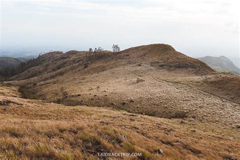 A Practical Guide to El Valle De Anton, Panama — LAIDBACK TRIP