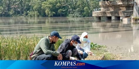 Setelah Ribuan Ikan Mati Bupati Banyumas Minta Pengelola Waduk Mrica