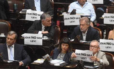 Los Diputados Retomaron El Debate Por La Ley ómnibus