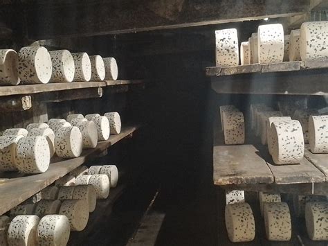 SociÉtÉ Des Caves Roquefort Visite Des Caves Roquefort Sur Soulzon Ce Quil Faut Savoir