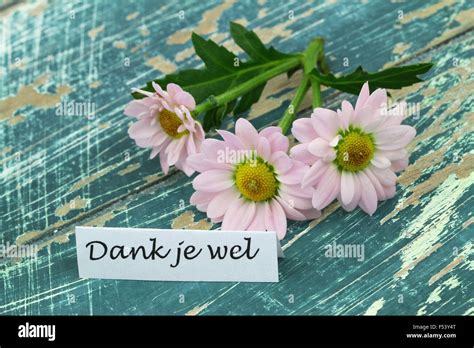 Dutch Thank You Card Hi Res Stock Photography And Images Alamy