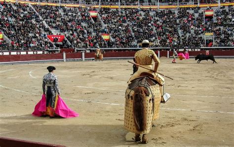 Fallece El Torero El Pana Rodr Guez A Los A Os De Edad Metro