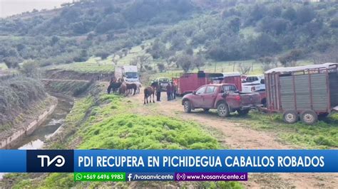 Pdi Recupera En El Toco Comuna De Pichidegua Región De Ohiggins