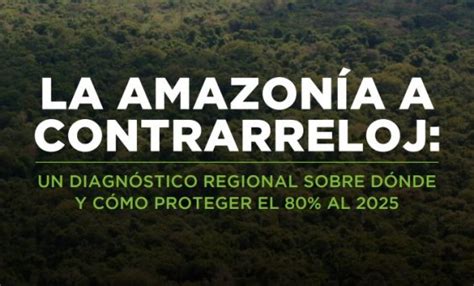 Publicaciones Ecociencia