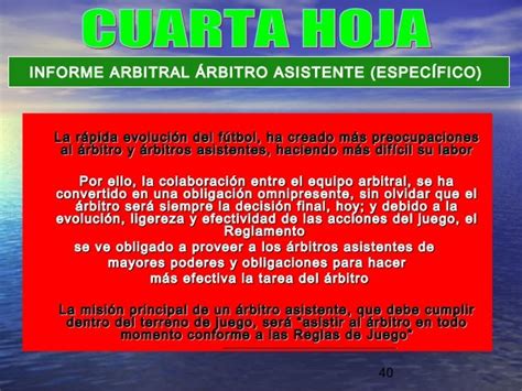 El Informe Arbitral