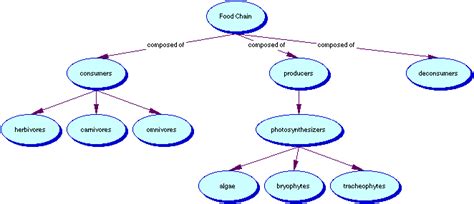 The Easy Guide To Semantic Mapping With Examples Edraw