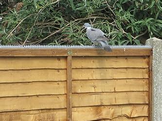 The Cactus Fence Wall Spikes Pack Of M To M Metallic