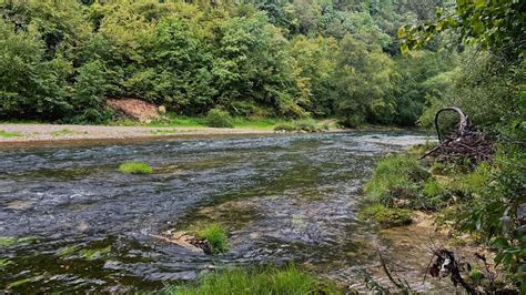 Ribolov Na Rijeci Sani Fishing On River Sana Angeln Am Fluss Sana