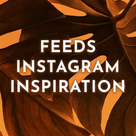 Feeds Instagram Inspiration Website Design Inspiration Instagram