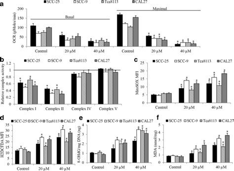 Artesunate Inhibits Mitochondrial Respiration And Induces Oxidative Download Scientific Diagram