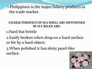 Seashell | PPT