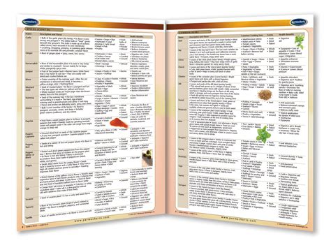 Herbs And Spices Chart Quick Reference Guide