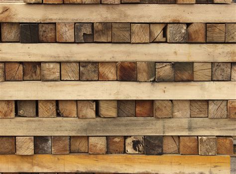 Текстура cруба дерева | Cрез дерева