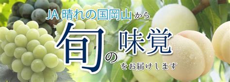 Ja晴れの国岡山【jaタウン】産地直送 通販 お取り寄せ