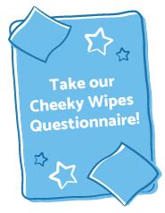 All Period Pants Cheeky Wipes UK