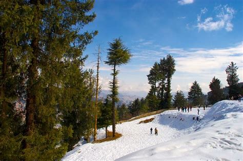 Kufri Snow Point Near Shimla For Tourist Horse Ride And Mini Zoo