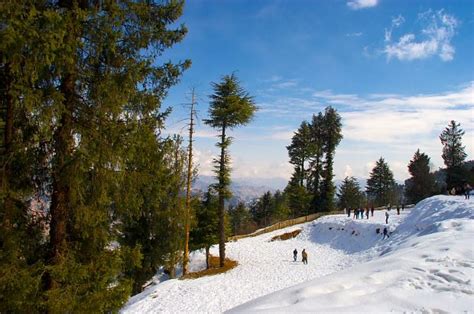 Kufri snow point near Shimla for tourist horse ride and mini Zoo