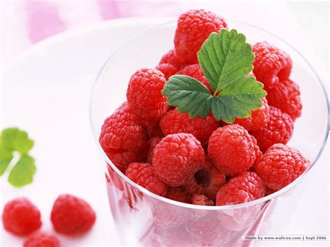 Fruits - Delicious Recipes Photo (23430396) - Fanpop