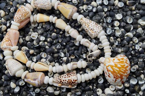 1278 Sea Shell Lei Sunrise Shells Hawaii