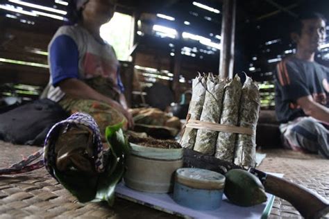 Mengunyah Kapur Sirih Di Bumi Sepucuk Jambi Sembilan Lurah