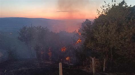 Niksar Ayazma Orman Yangınında Son Durum YEREL Niksar Danişmend