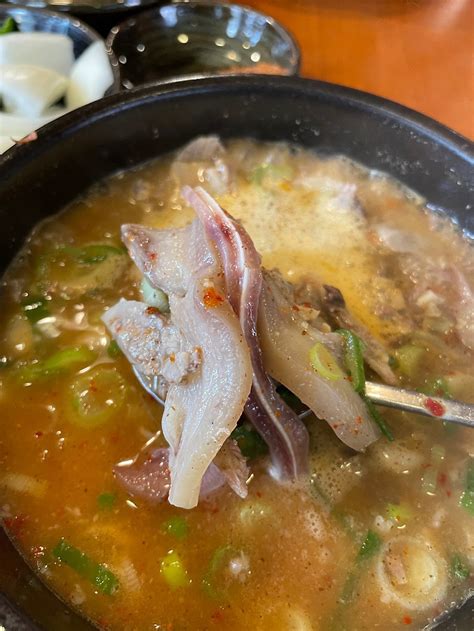 시청역 농민백암순대 순대국 맛집