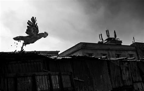 Beautiful Black And White Street Photography Series By Bangladeshi