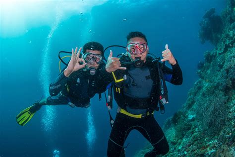 Mola Mola 1 Liveaboard Indonesia - Bluewater Dive Travel