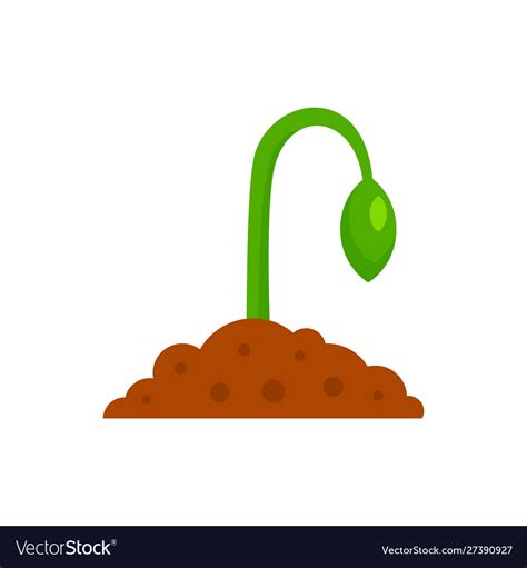 Plant Seed Icon