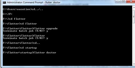 Flutter Doctor Not Working Windows