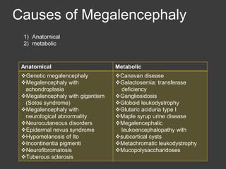 Approach to Macrocephaly / large head, Megalencephaly, Causes(Etiology), Work up, Treatment | PPT