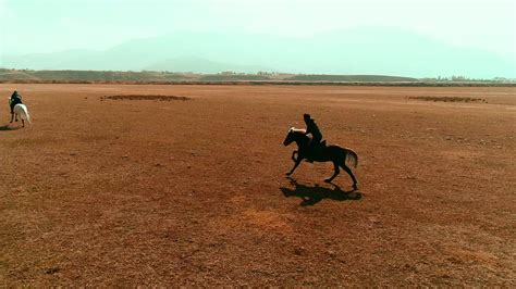 Horses galloping, slowmotion. Video of horses galloping by their riders on the open plain ...